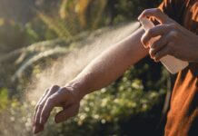 Caso raro de chikungunya fora de zonas tropicais acende alerta global