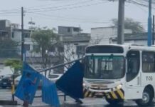 VÍDEO: Motorista Em Treinamento Derruba Ponto De ônibus E Foge Na Ribeira