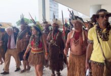 Às vésperas da COP30, indígenas vão ao Planalto cobrar demarcação