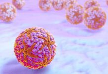 Fiocruz relata caso raro de encefalite associada à infecção pelo zika