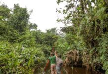 França lidera ação de US$ 2,5 bilhões para proteger floresta do Congo