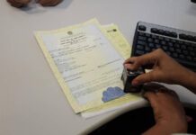 Saiba como consultar “popularidade” de seu nome e sobrenome via IBGE