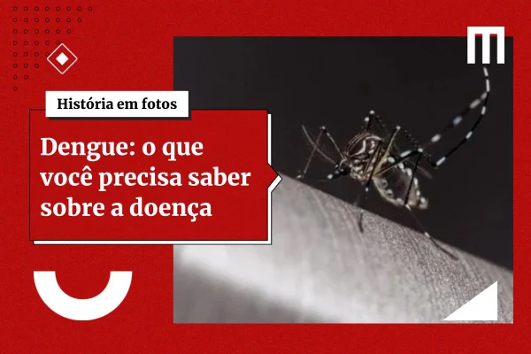 Dengue: vacina Qdenga mantém proteção por 7 anos, em novo estudo