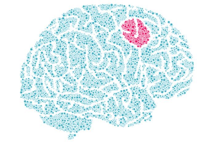 Estudo-revela-como-tumores-cerebrais-reagem-a-falta-de-nutrientes.jpg