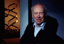 Morre James Watson, um dos descobridores da estrutura do DNA