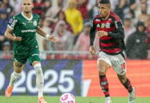 Palmeiras e Flamengo decidem 1º tetra brasileiro na Libertadores Palmeiras e Flamengo decidem 1º tetra brasileiro na Libertadores