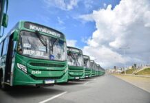 Transporte Público Terá Operação Especial Durante O Afropunk