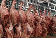 veja quais produtos tiveram redução de 10%