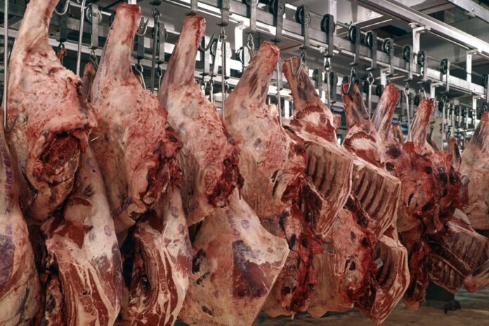 carne_bovina_frigorifico.jpg