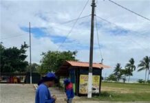 Litorânea Norte recebe serviços de roçagem e capinagem