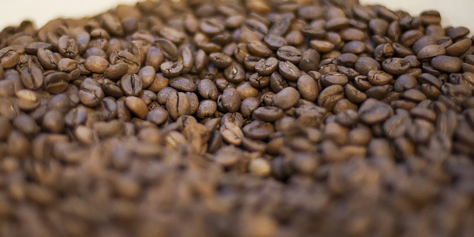 Trump diz que reduzirá tarifas para importação de café