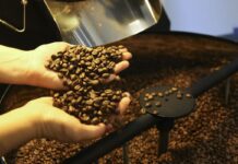 EUA reduzem tarifas para café, laranja, carne bovina e outros produtos