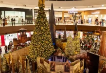 Shopping Paralela Celebra 20 Anos De Harry Potter E Exibe Sessões Especiais Do Filme