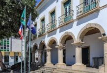 CMS Aprova Leis Voltadas à Inclusão Autista E Capacitação De Mulheres; Veja