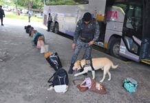 PM Reforça Segurança No Terminal Rodoviário De Salvador
