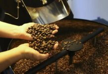 Governo Manda Suspender Lotes De Café; Saiba Quais