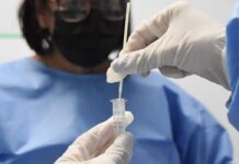 Novo Tipo De Influenza A Identificado No Brasil Não Preocupa Especialistas