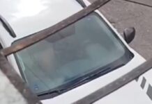 Servidor é exonerado após usar carro de órgão público para ato sexual