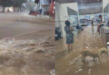 Forte Chuva Provoca Alagamentos E Transtornos Em Irecê, No Norte Da Bahia