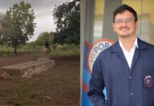 Veterinário Explica Reação De Cavalo Que Impediu Dono De Ser Atingido Por Raio No Oeste Da Bahia