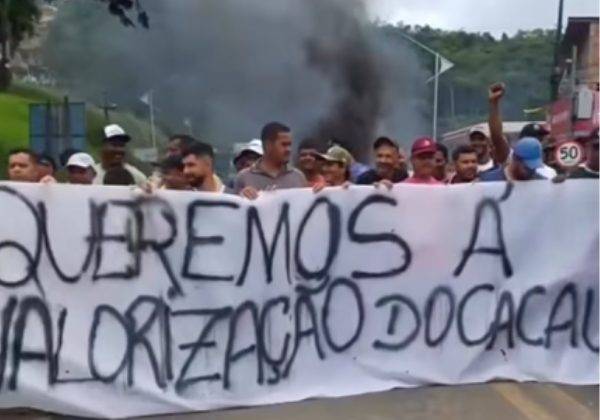 Produtores De Cacau Protestam Contra Importação Do Produto Na BR-101, Produtores De Cacau Protestam Contra Importação Do Produto Na BR-101, No Sul Da Bahia