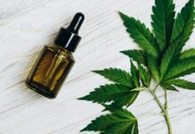 Terapia com óleo de cannabis reduz dor crônica, sugere estudo da UnB Ícone de sino para notificações