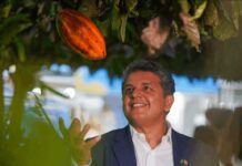 conheça a trajetória do empresário brasileiro que ajudou a tornar o fruto numa potência econômica e turística