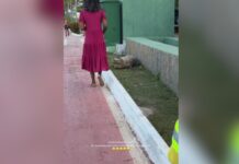 Que susto! Mulher quase esbarra em jacaré em área turística de Cuiabá