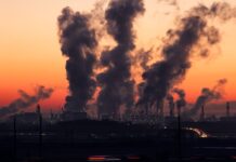 Sair da Convenção do Clima “é gol contra” dos EUA, diz Stiell