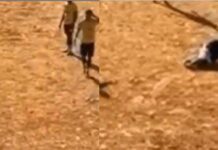 VÍDEO: Jovem De 19 Anos é Morto A Tiros Em Campo De Futebol Na Bahia