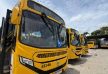 Salvador Ganha ônibus Climatizados A Partir De Domingo (1ª) Em Salvador Salvador Ganha ônibus Climatizados A Partir De Domingo (1ª) Em Salvador