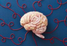 USP desenvolve moléculas que podem combater células de câncer cerebral Ícone de sino para notificações