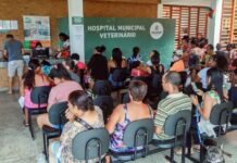 Hospital Veterinário De Salvador Ultrapassa 300 Mil Atendimentos Em Dois Anos Hospital Veterinário De Salvador Ultrapassa 300 Mil Atendimentos Em Dois Anos