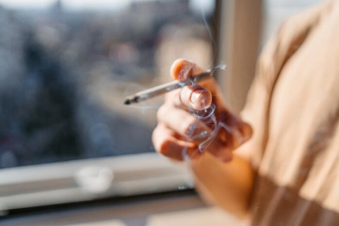 Os riscos do consumo de maconha para adolescentes Ícone de sino para notificações