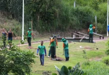 Prefeitura De Salvador Inicia Plantio De Mudas No Mané Dendê Durante Período Chuvoso Prefeitura De Salvador Inicia Plantio De Mudas No Mané Dendê Durante Período Chuvoso