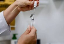 Salvador Inicia Imunização Contra A Dengue Com A Vacina Produzida No Brasil Salvador Inicia Imunização Contra A Dengue Com A Vacina Produzida No Brasil