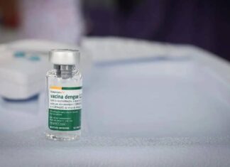 Vacinação Contra Dengue é Interrompida Enquanto Mortes São Investigadas Salvador Inicia Vacinação Contra Dengue; Confira O Público-alvo