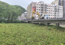 Prefeitura de Itabuna alerta sobre o aparecimento de piranhas no Rio Cachoeira