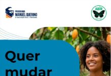 Quatro caminhos para mudar de vida!