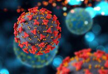 Anvisa amplia faixa etária de vacina contra vírus da bronquiolite Ícone de sino para notificações