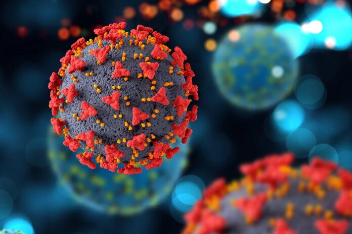 Anvisa amplia faixa etária de vacina contra vírus da bronquiolite Ícone de sino para notificações