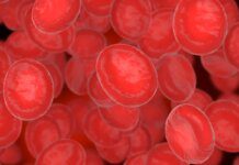 Cientistas ganham prêmio por desenvolver cura para a anemia falciforme Ícone de sino para notificações
