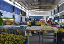 Confira O Horário De Funcionamento Da Ceasa E Dos Mercados Estaduais No Feriado Confira O Horário De Funcionamento Da Ceasa E Dos Mercados Estaduais No Feriado