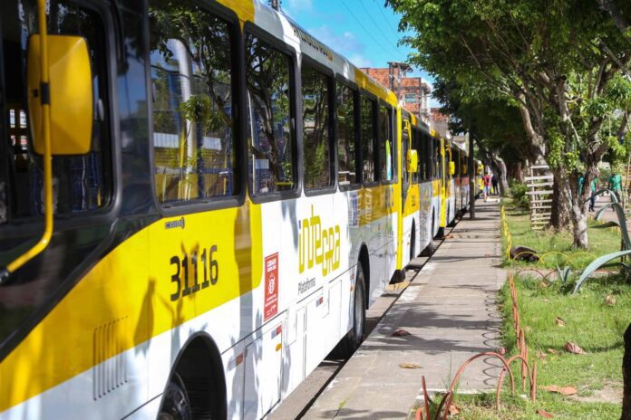 Cratera Altera Itinerário De Linhas De ônibus Na Pituba