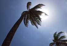 Nova Onda De Calor Atinge O Brasil E Provoca Mudanças No Tempo Na Bahia Nova Onda De Calor Atinge O Brasil E Provoca Mudanças No Tempo Na Bahia