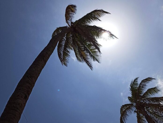 Nova Onda De Calor Atinge O Brasil E Provoca Mudanças Nova Onda De Calor Atinge O Brasil E Provoca Mudanças No Tempo Na Bahia