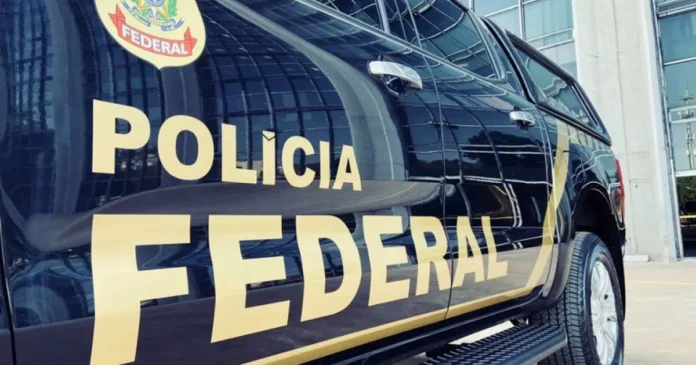 PF Mira Grupo Que Enviou 3 Toneladas De Maconha Escondidas Em Máquinas Na Bahia