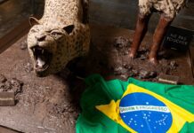 Maior evento de cacau e chocolate do mundo, ‘Salon du Chocolat’ estreia no Brasil em dezembro de 2026