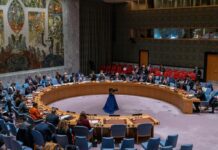 Rússia e China vetam resolução sobre Ormuz em Conselho de Segurança