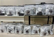 Polícia Civil apreende 80 kg de cocaína durante operação na BR-116